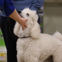 photograph by PeterW